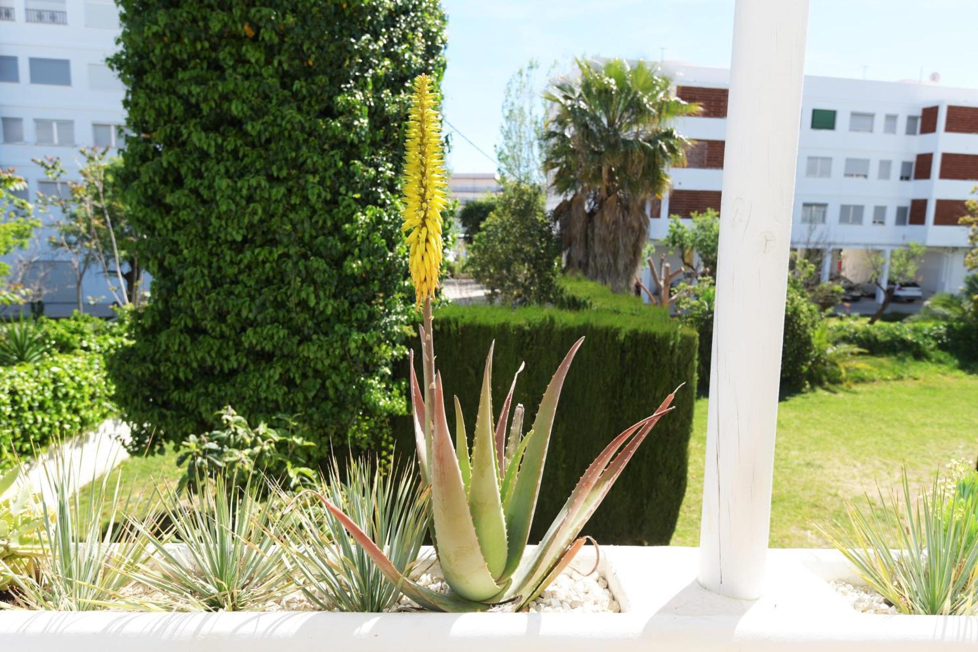 Stories Javea - Cosy Boho Apartment El Arenal - Toplocation - 250M From The Beach! Экстерьер фото